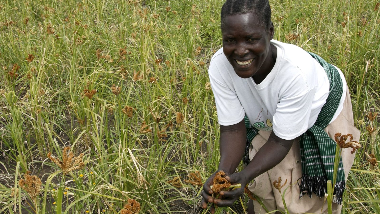 A smallholder farmer working in a field in northern Uganda