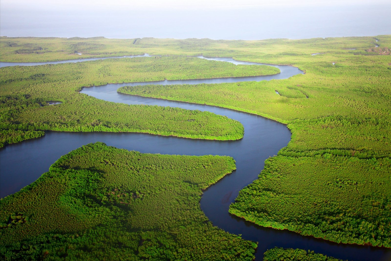 Aerial view of a river winding through dense green wetland, its channels branching across the landscape
